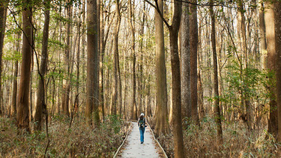 Congaree National Park employees go back to work